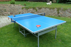 pingpong